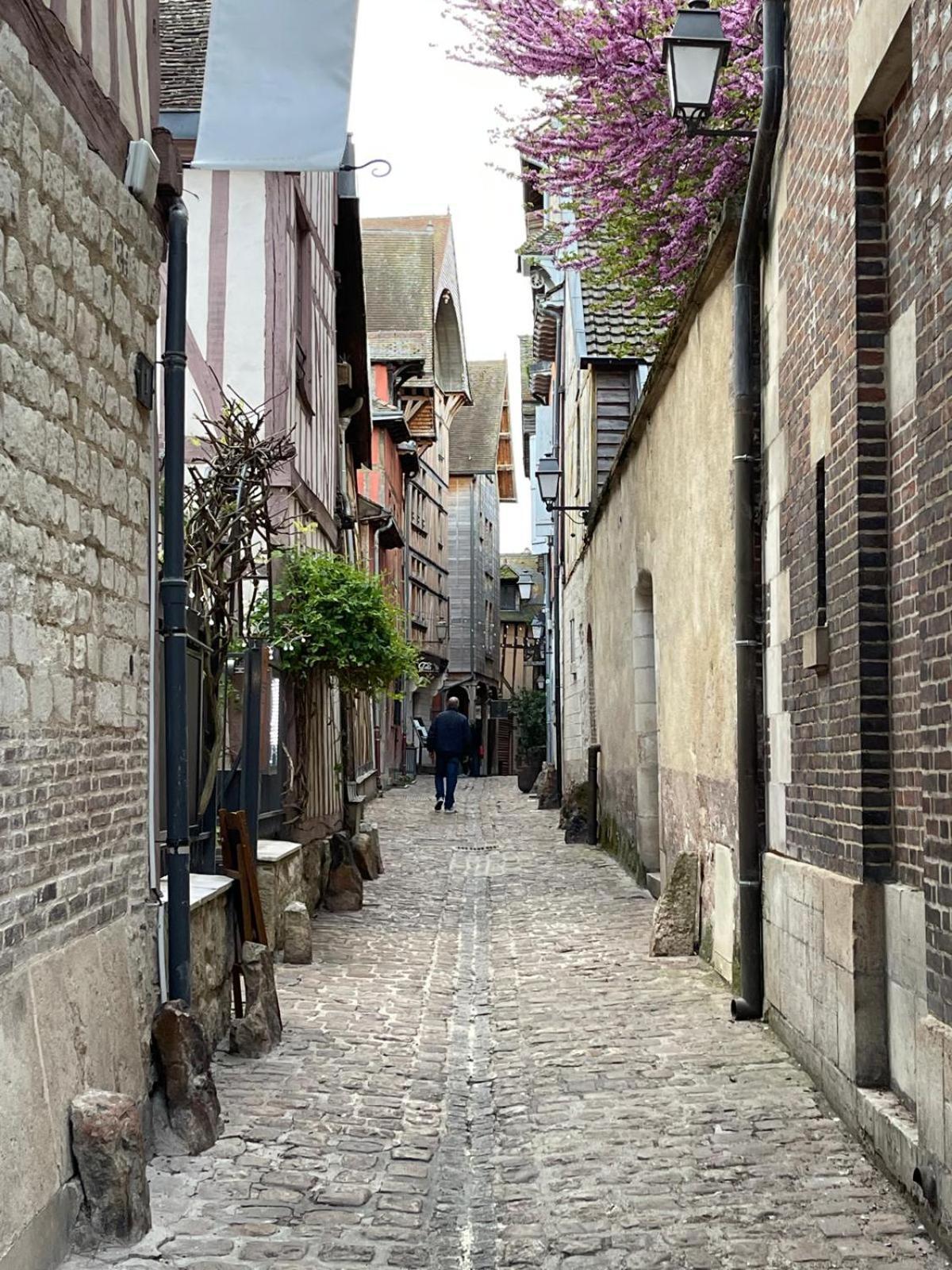 Vila Un Brin De Bonheur Troyes Exteriér fotografie